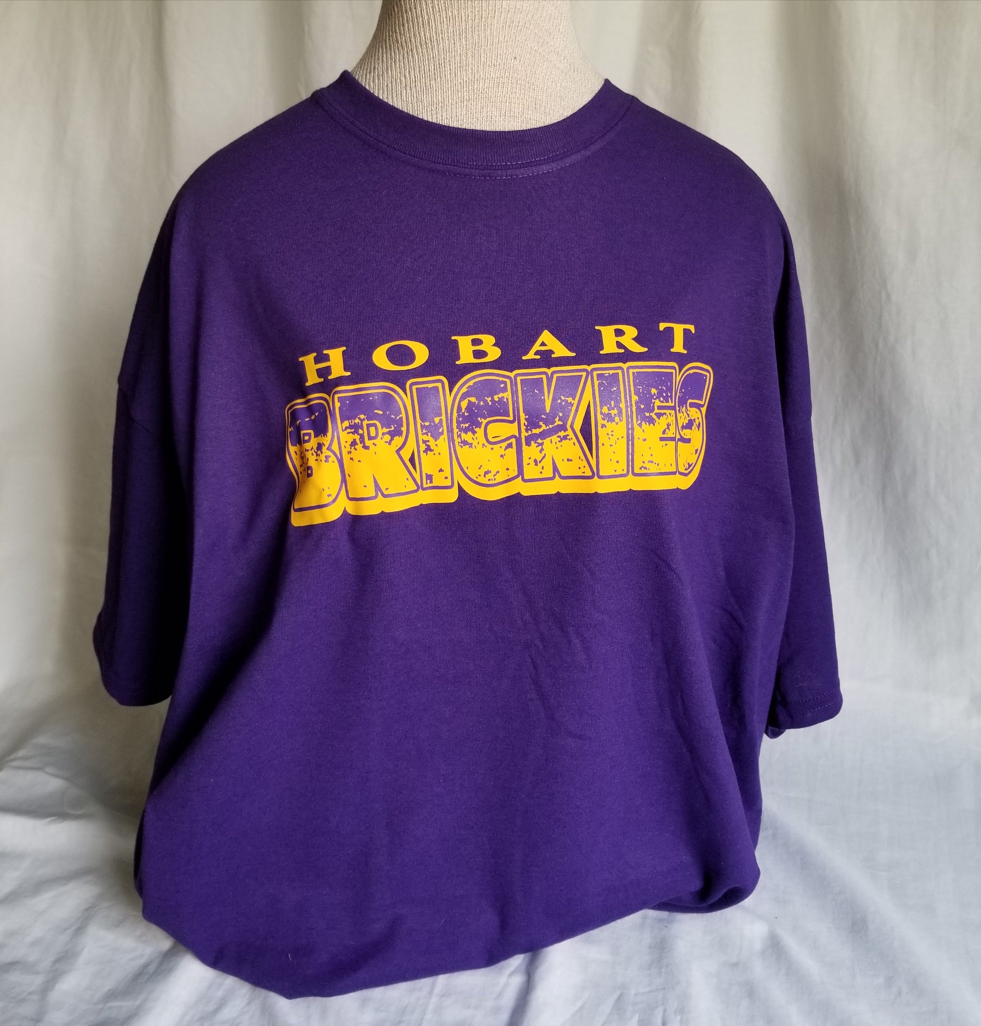 Hobart Brickies 2-tone design t-shirt – Sewing by Judy